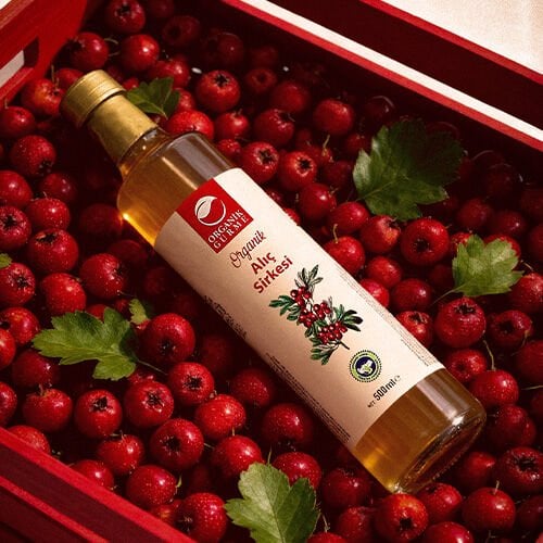 Alıç Sirkesi ile Detox Suyu